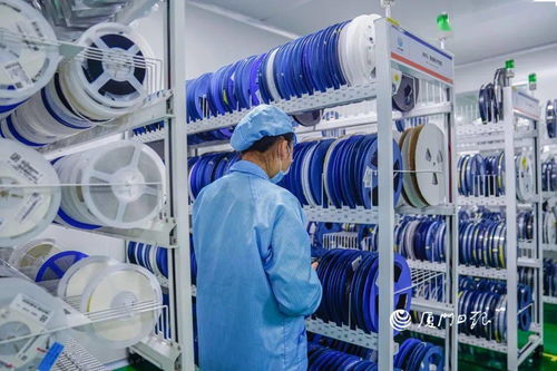 走进厦门高企 产品覆盖国内3000多万用户，这家公司是行业领头羊——深耕国内贸易代理的独角兽