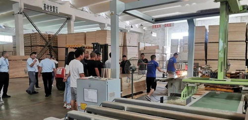 赋能共赢 冠林经销商来厂参观学习，深度赋能国内贸易代理合作
