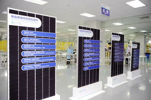 加强知识产权保护，以国内贸易代理为纽带，共同促进光伏产业健康发展